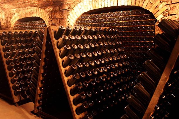 Franciacorta cellar