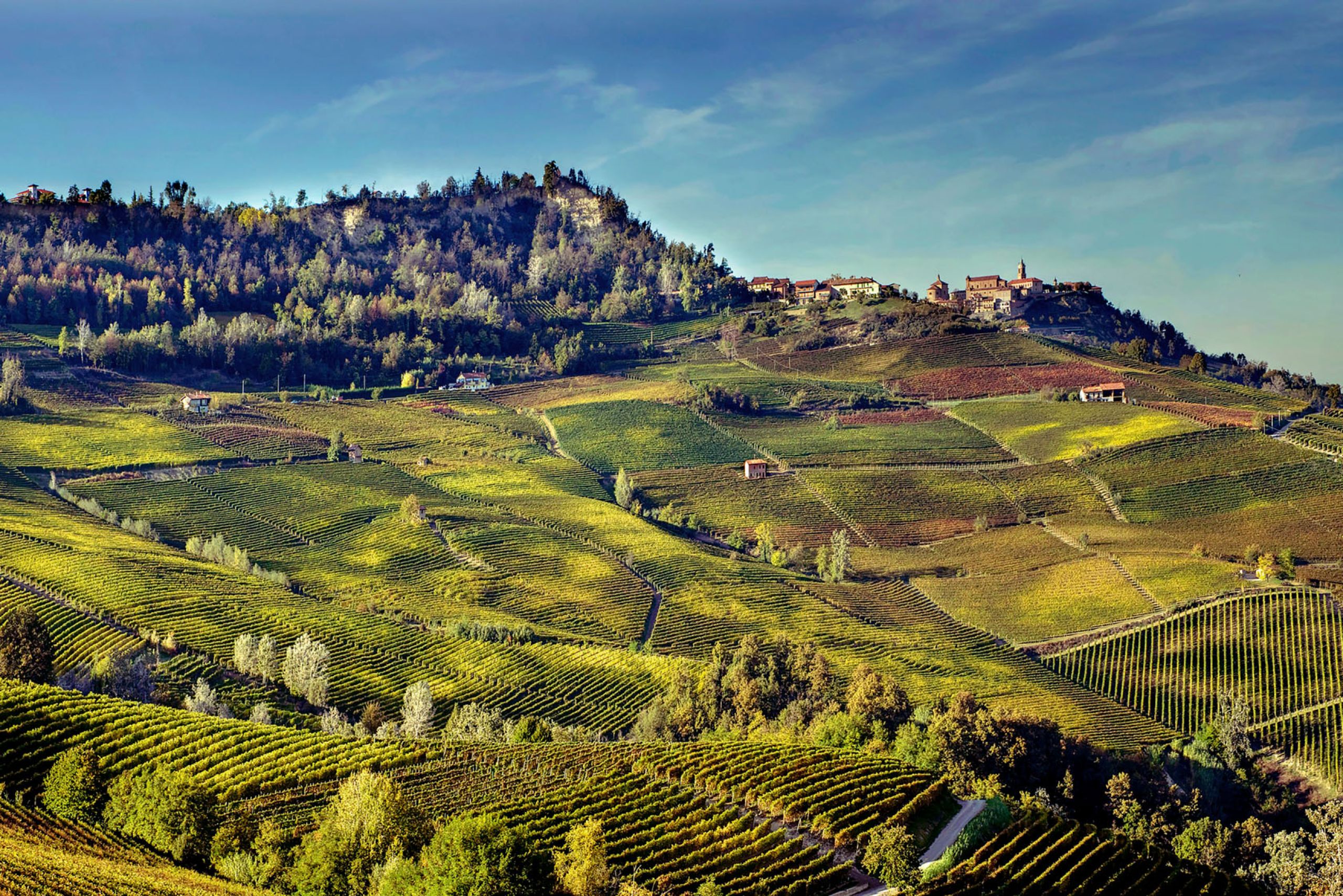 La Morra vineyards Roberto Voerzio