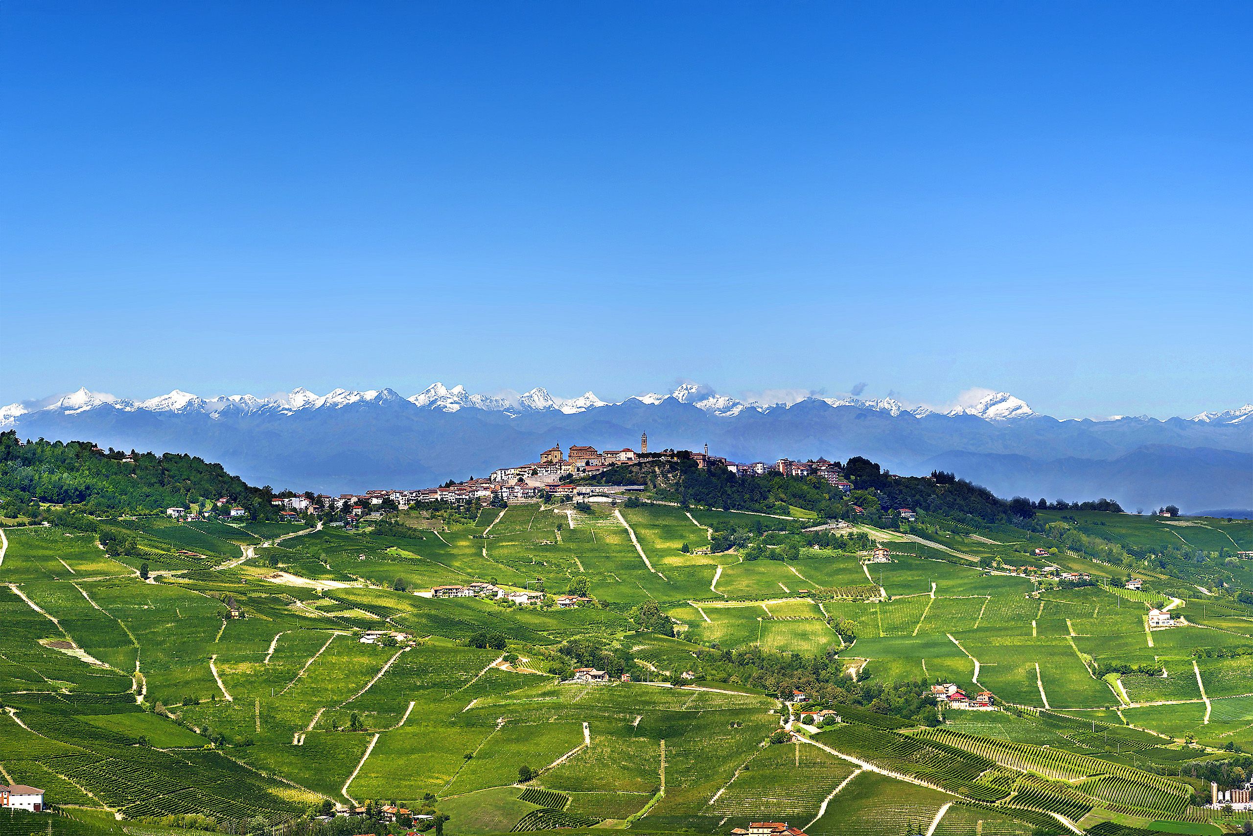 La Morra med Alpene i bakgrunnen.